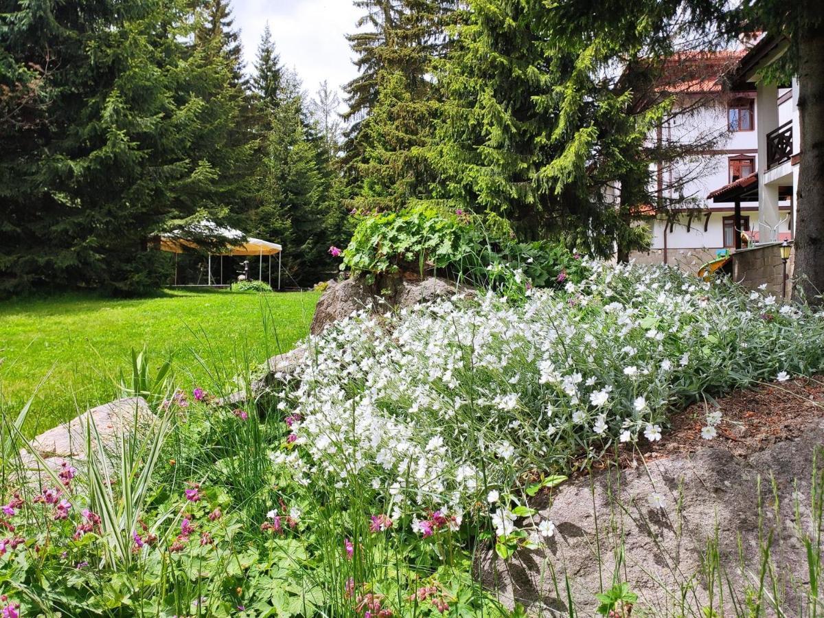 "Моето Любимо Място", Смолянски Езера - "My Favorite Place", Smolyan Lakes ภายนอก รูปภาพ